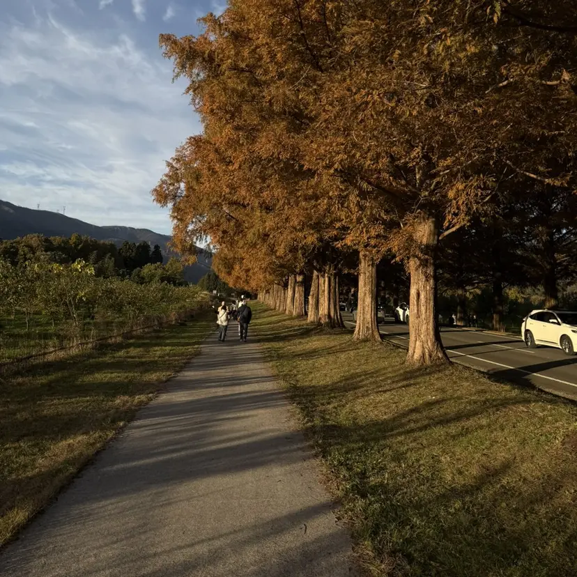 🐾ROAR🐾 HAZUKIの掲載