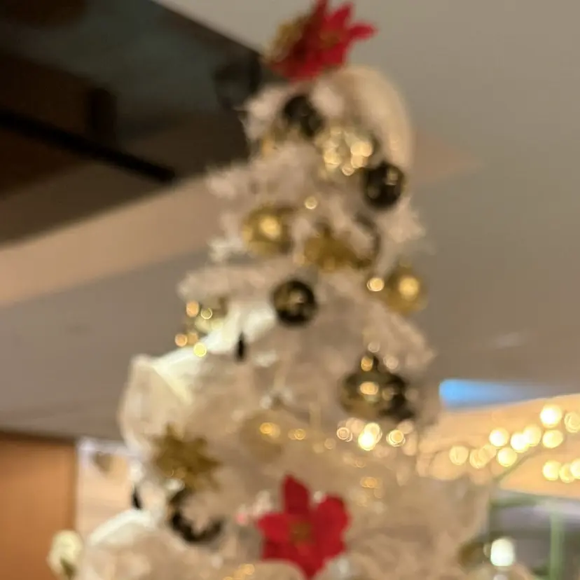 stellanail momoの掲載