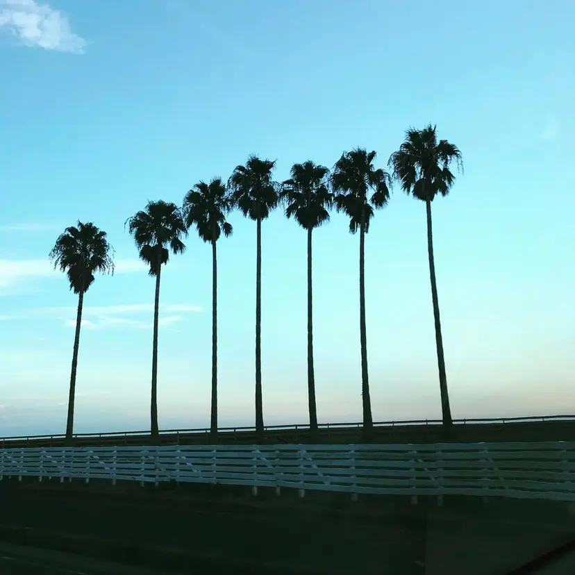 Sea  nail by emaの掲載