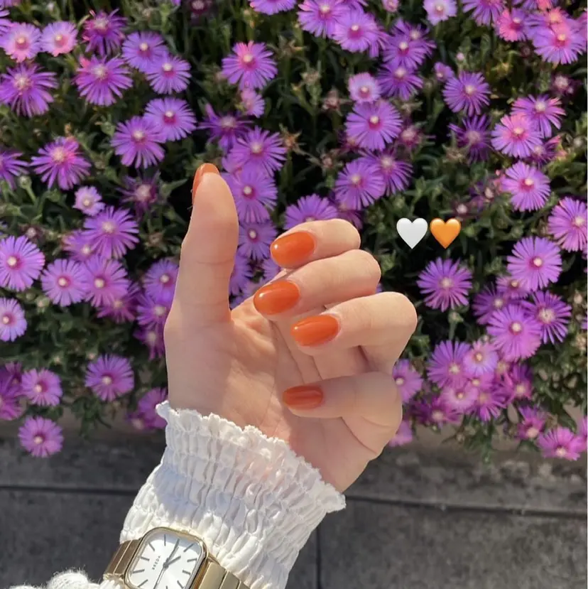 Shion nailの掲載