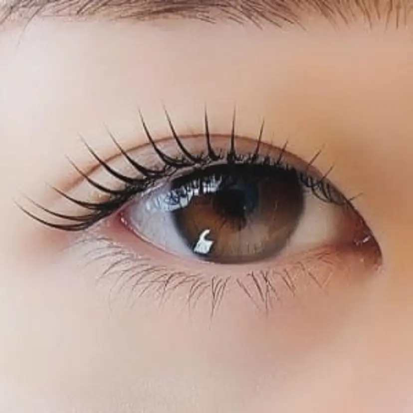 beauty Rassurerの掲載