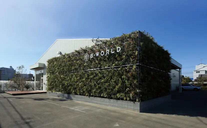 鈴木 夢來の掲載