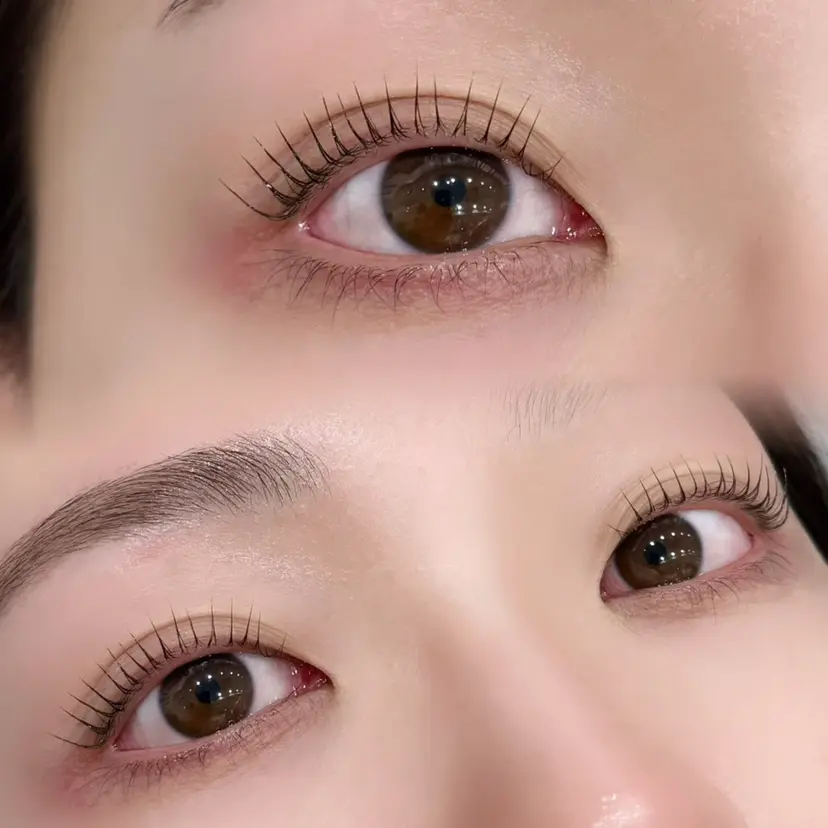 FOXYLASH Hataiの掲載