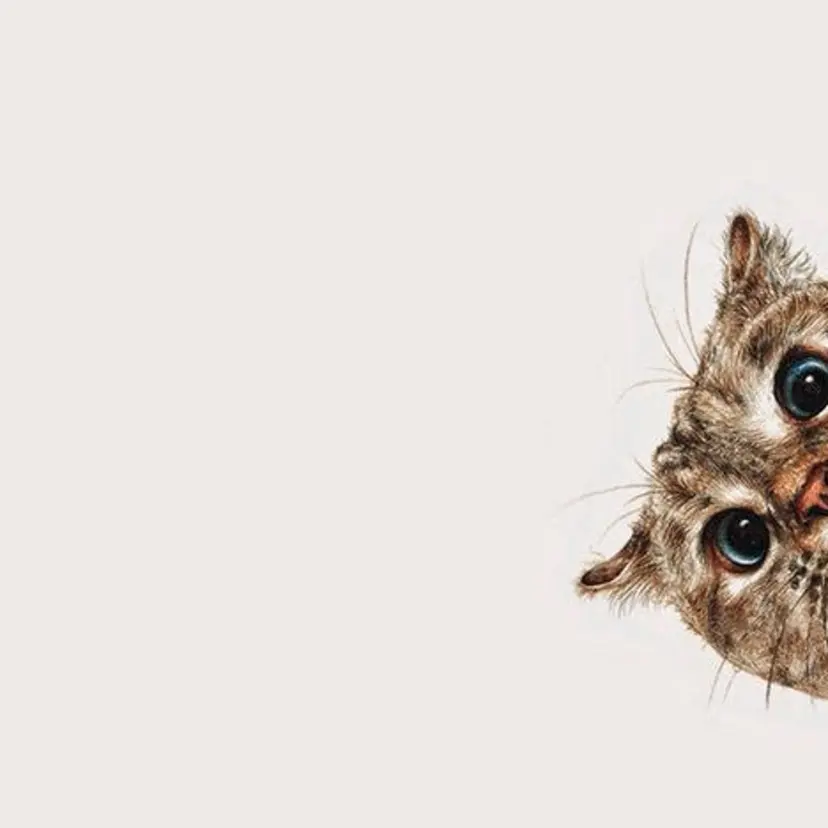 みわ/博多 ブリーチ/メンズヘアの掲載