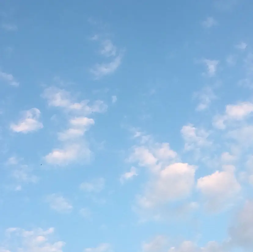 ディアロ 本町店の掲載