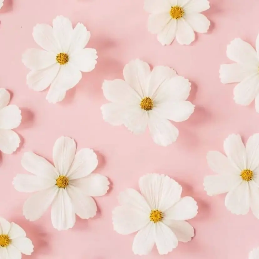 ROPE nail ロペネイルの掲載