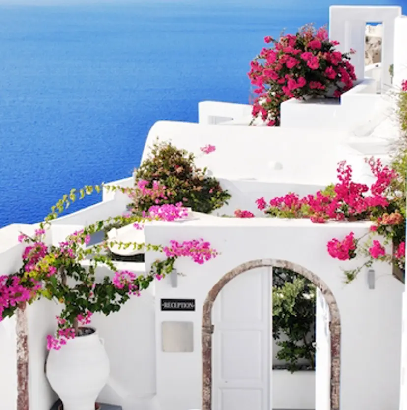 小顔矯正 キッコウジンの掲載