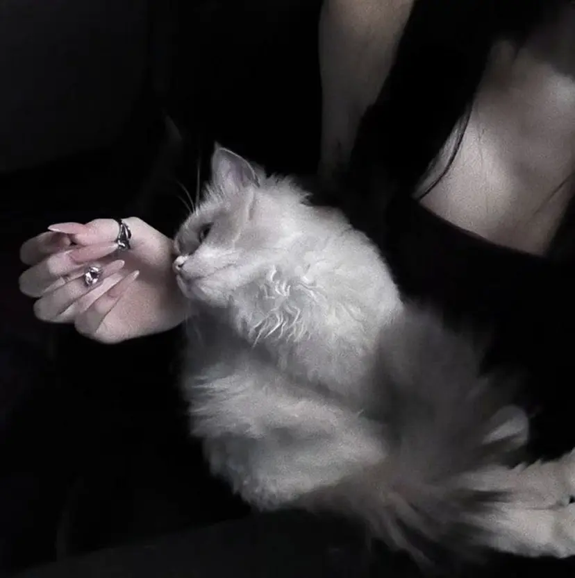 🩶LEDエクステ＆ エクパーマRAN🪽の掲載