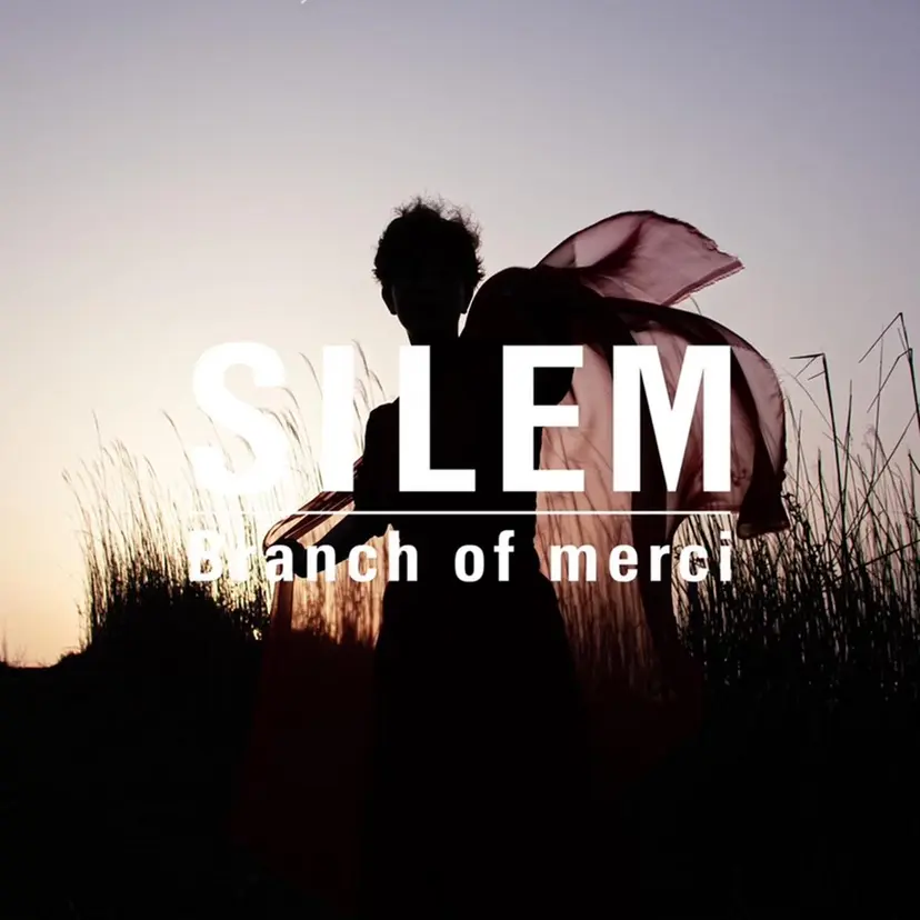 石井 大貴の掲載