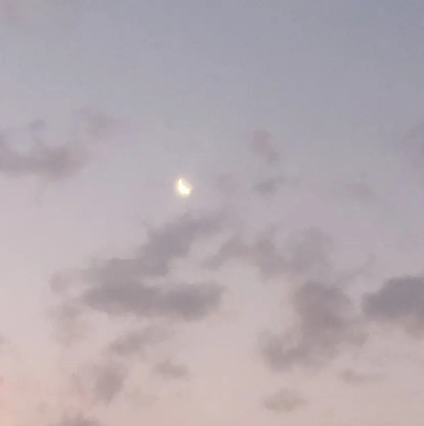 高津 千慧の掲載