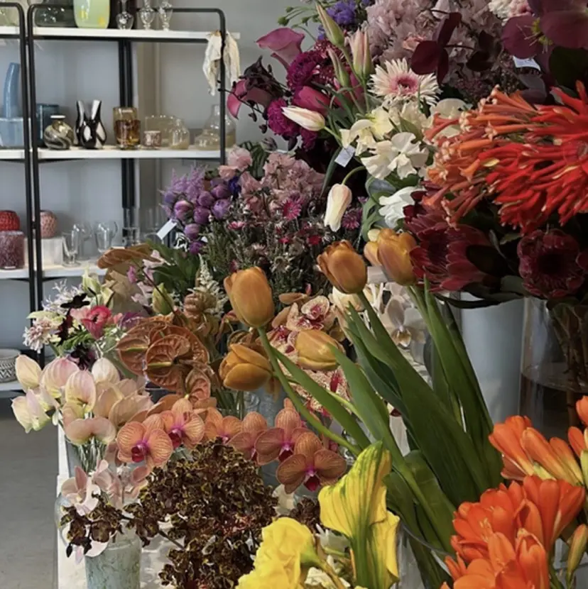 momona / Eng okの掲載