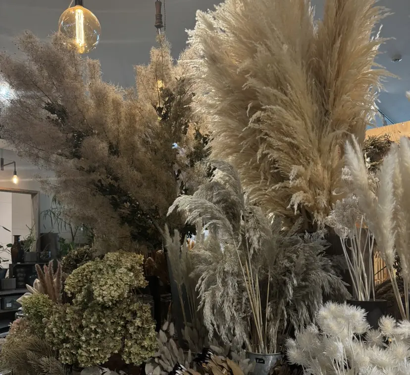 モテ眉No.1🎀 ᴛᴀᴋᴜᴍɪの掲載