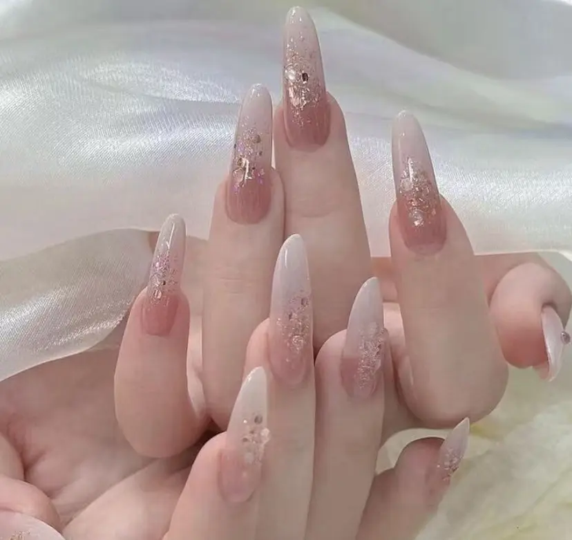 コアラ Y's salonの掲載