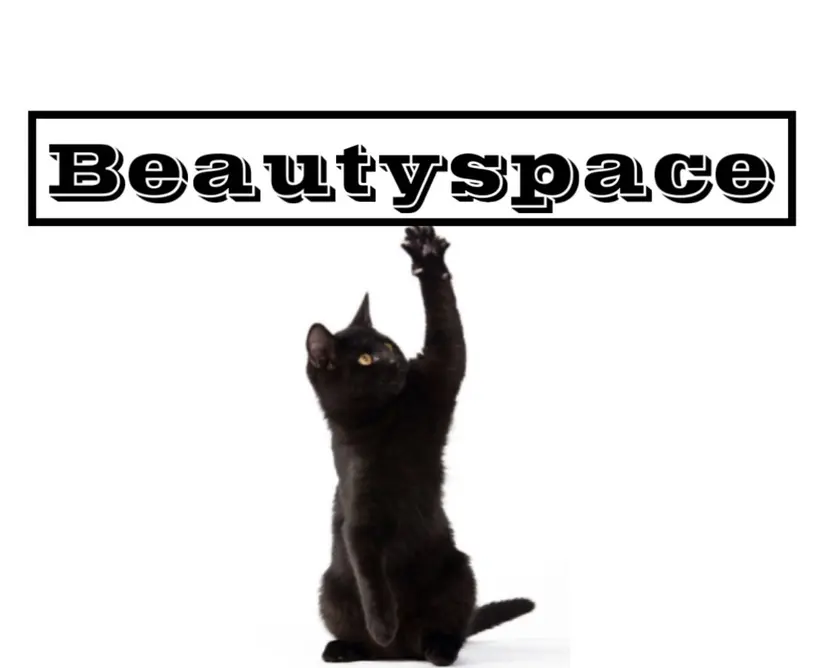 ᴍɪɴᴀ. 🐈⬛の掲載