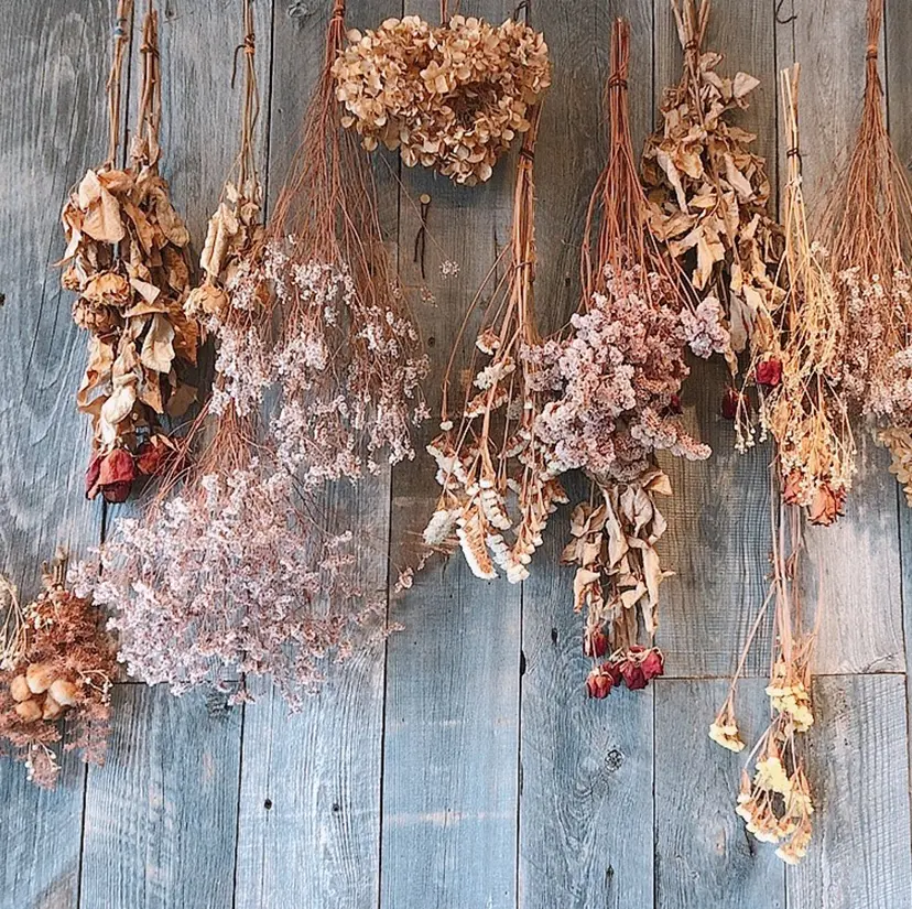 野口 実優の掲載