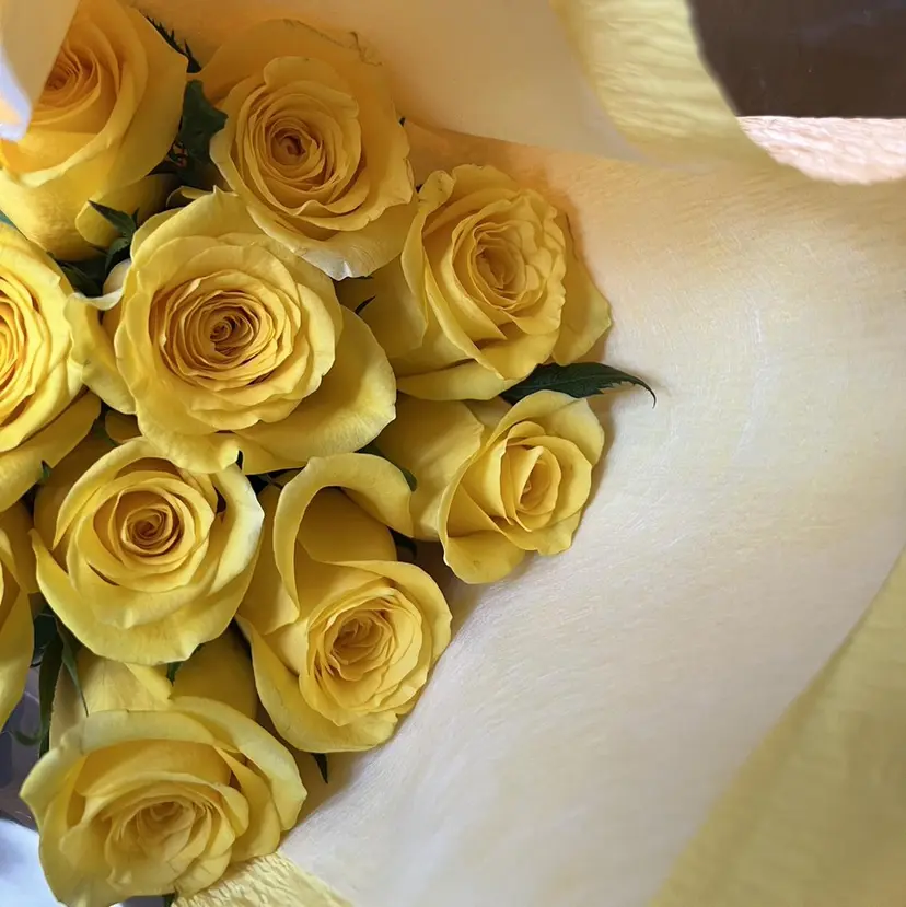 大河原 美優の掲載