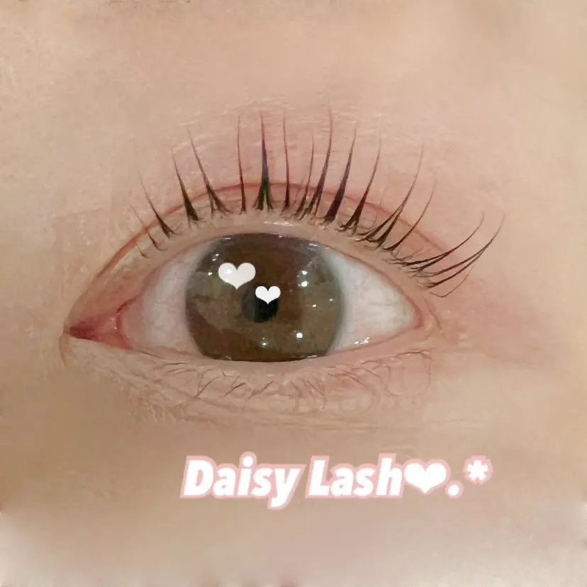 デイジーラッシュ 第3ビル 吉谷の掲載