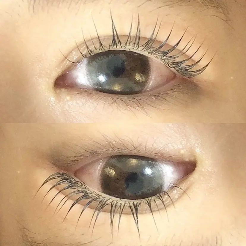 alicetokyo 札幌北口店　對馬の掲載