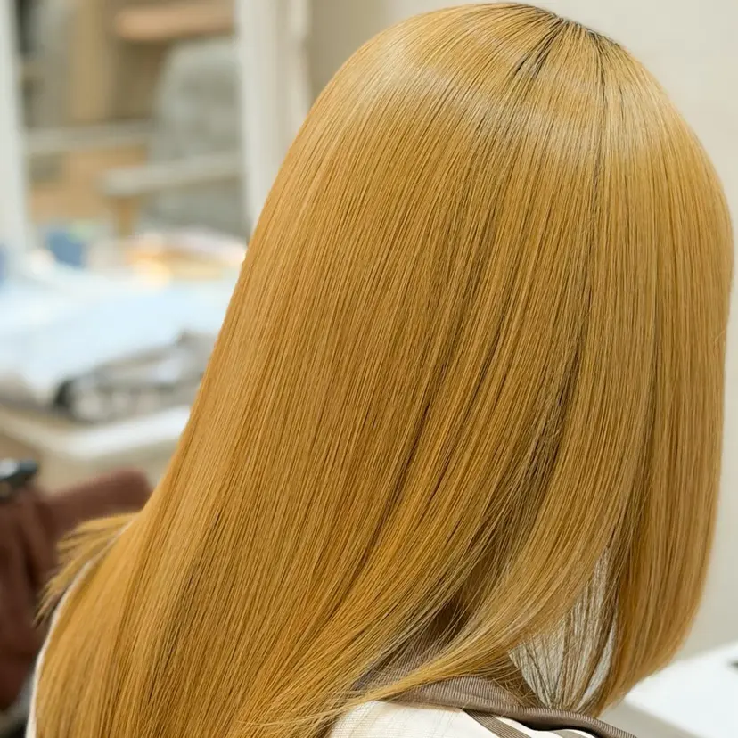 三瓶 龍皇の掲載