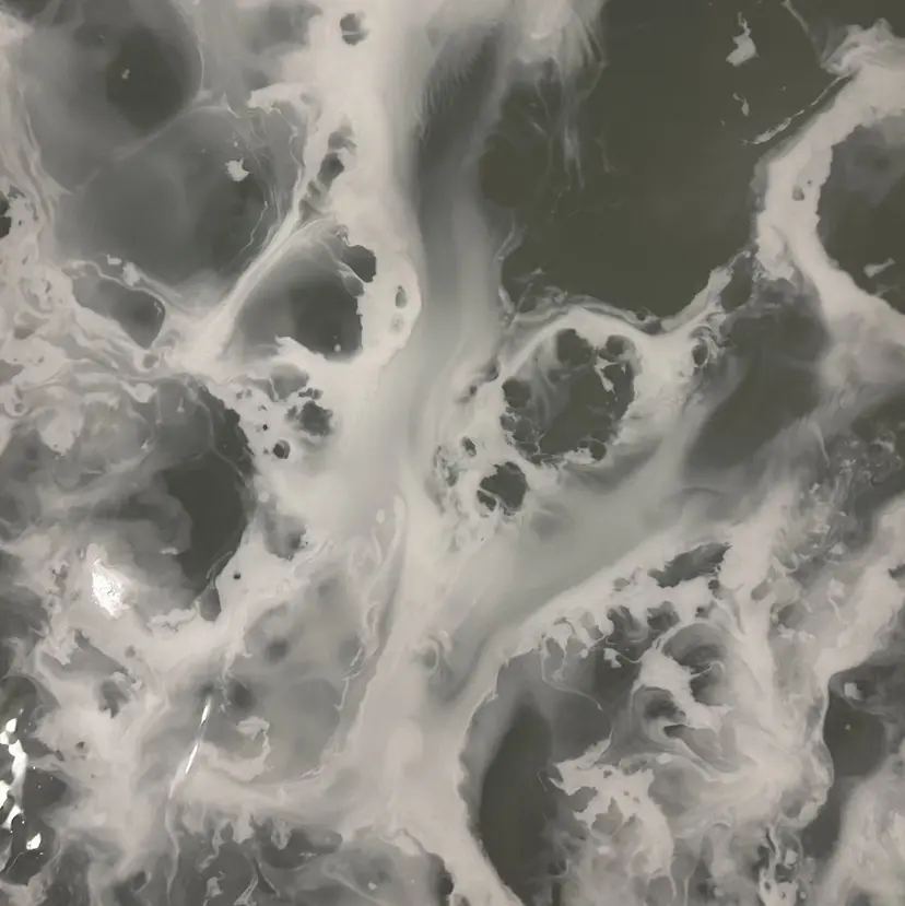 山中 望緒の掲載