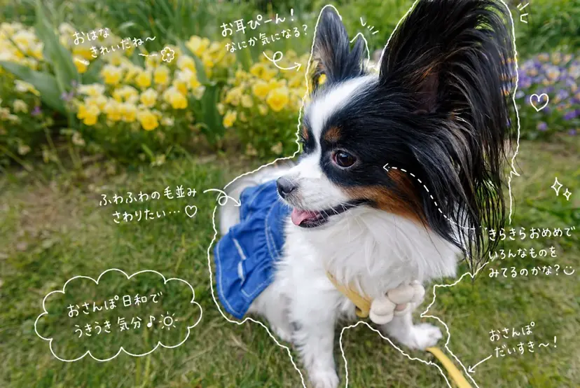 uri☺︎︎ natsumiの掲載