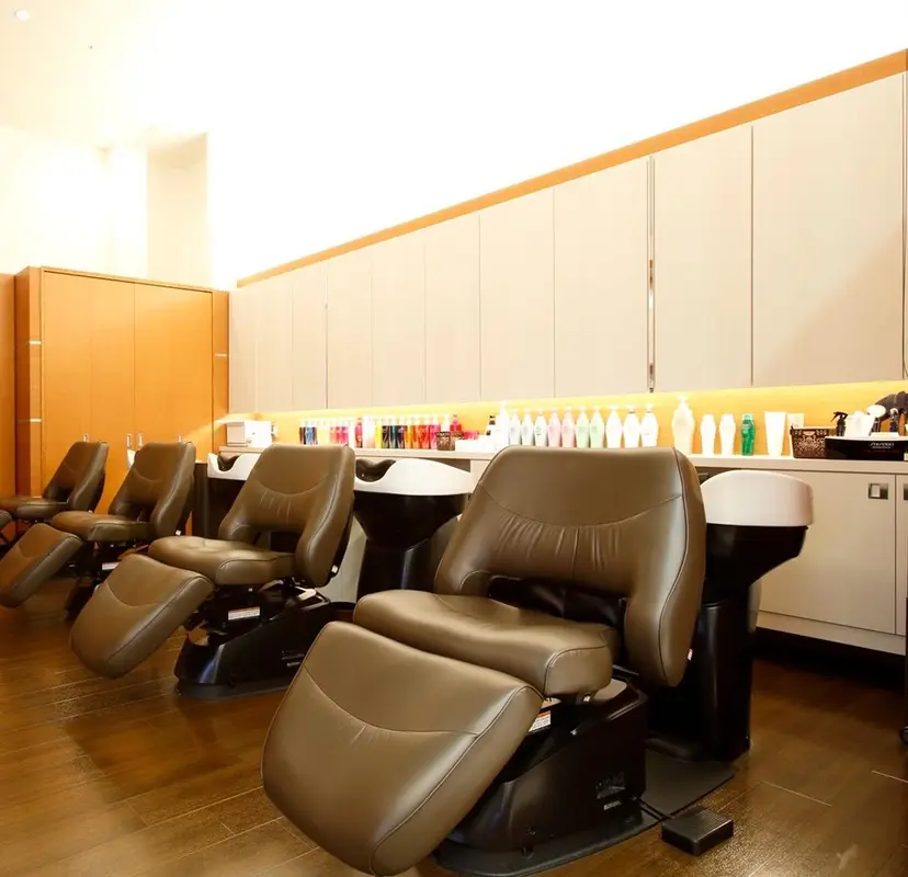 セト マユミの掲載