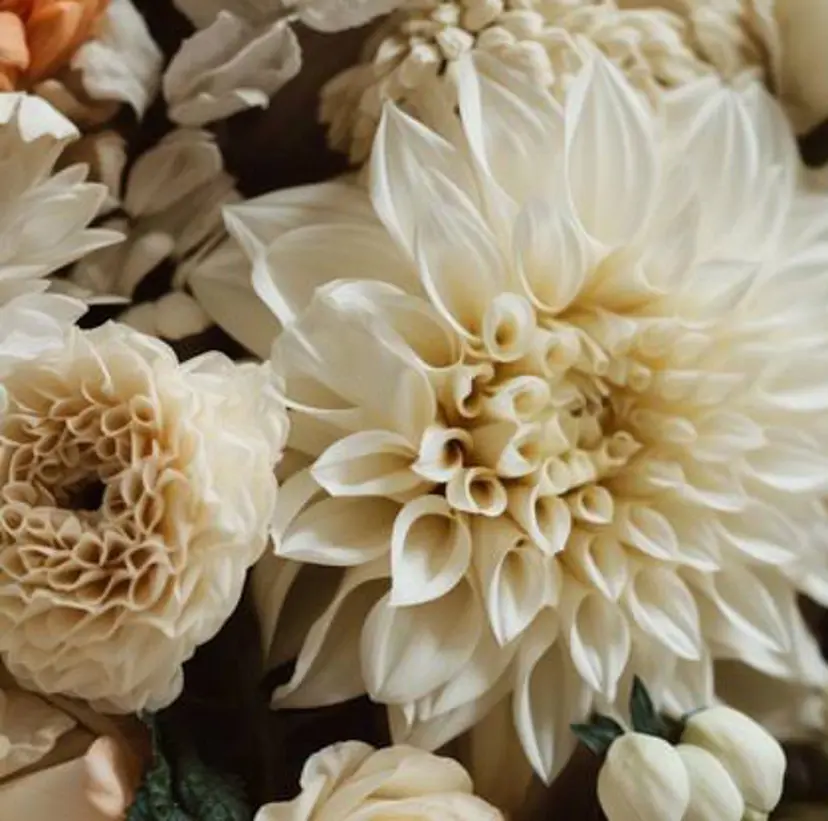 【お悩み改善& ブライダル】Eriの掲載