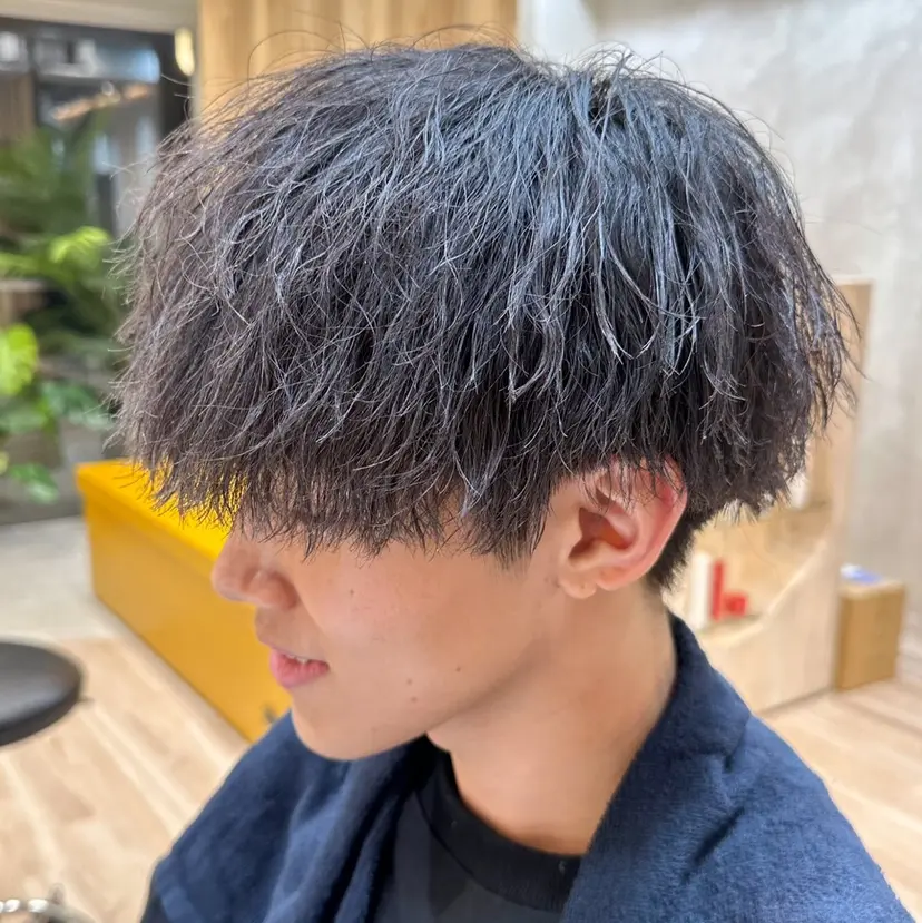 平賀 大陽の掲載