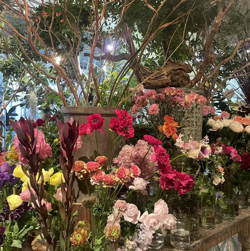 ボブ ホノカの掲載