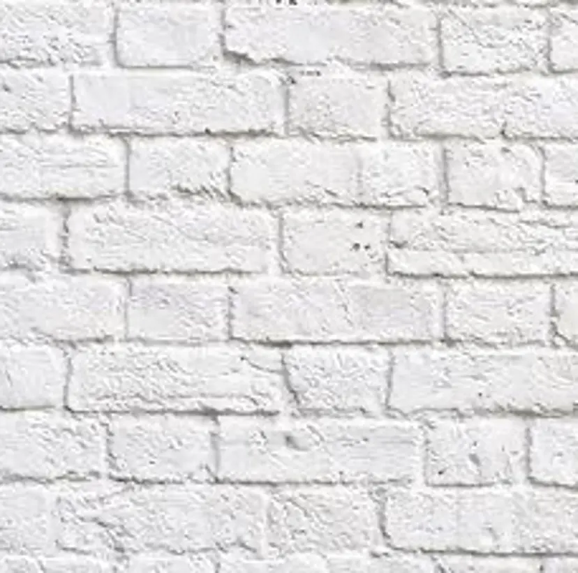 石井 綾乃の掲載