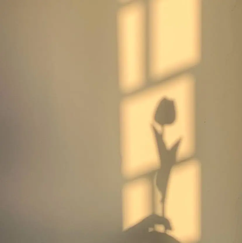 蛭川 文香の掲載