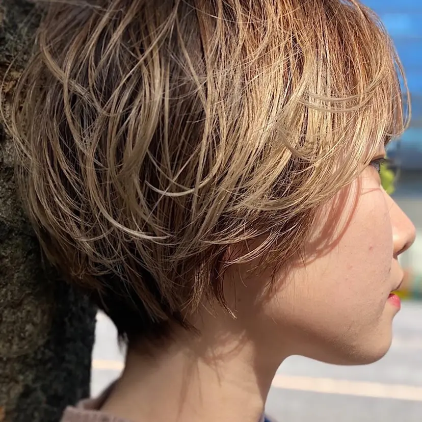 アシカガ ヨウコの掲載