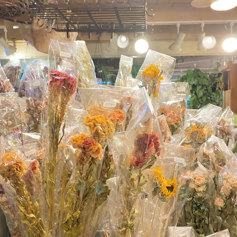 メンズカットモデル /新宿/あやこの掲載