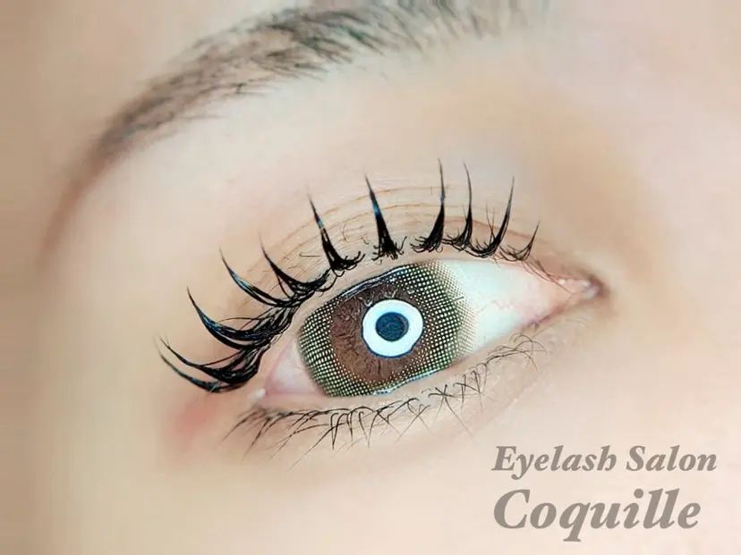 Coquille2 コキーユ2の掲載