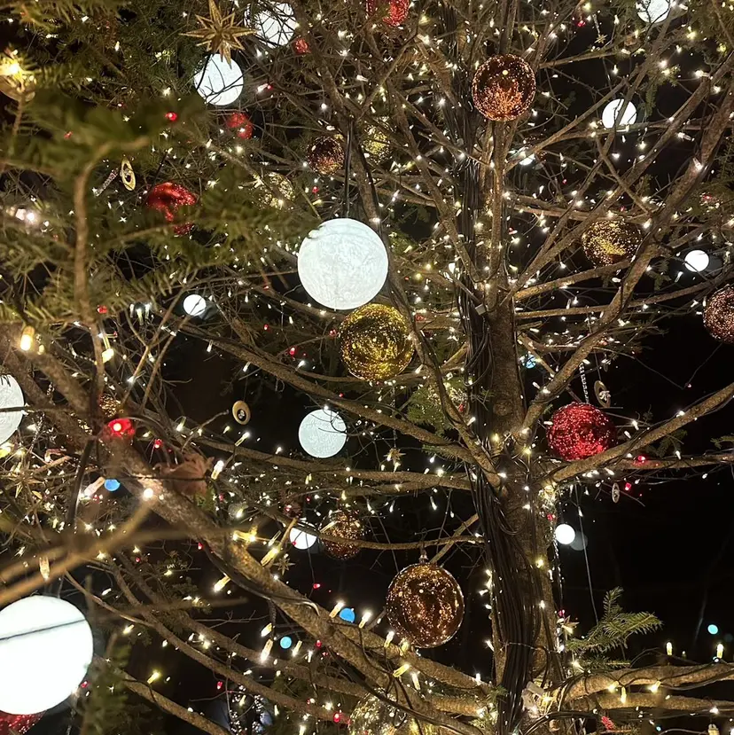 🍜のばた 🍜の掲載