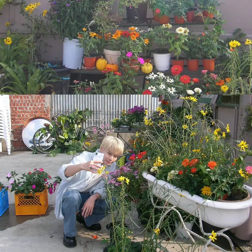 🌈透明感カラー 韓国 ミライ🇰🇷の掲載