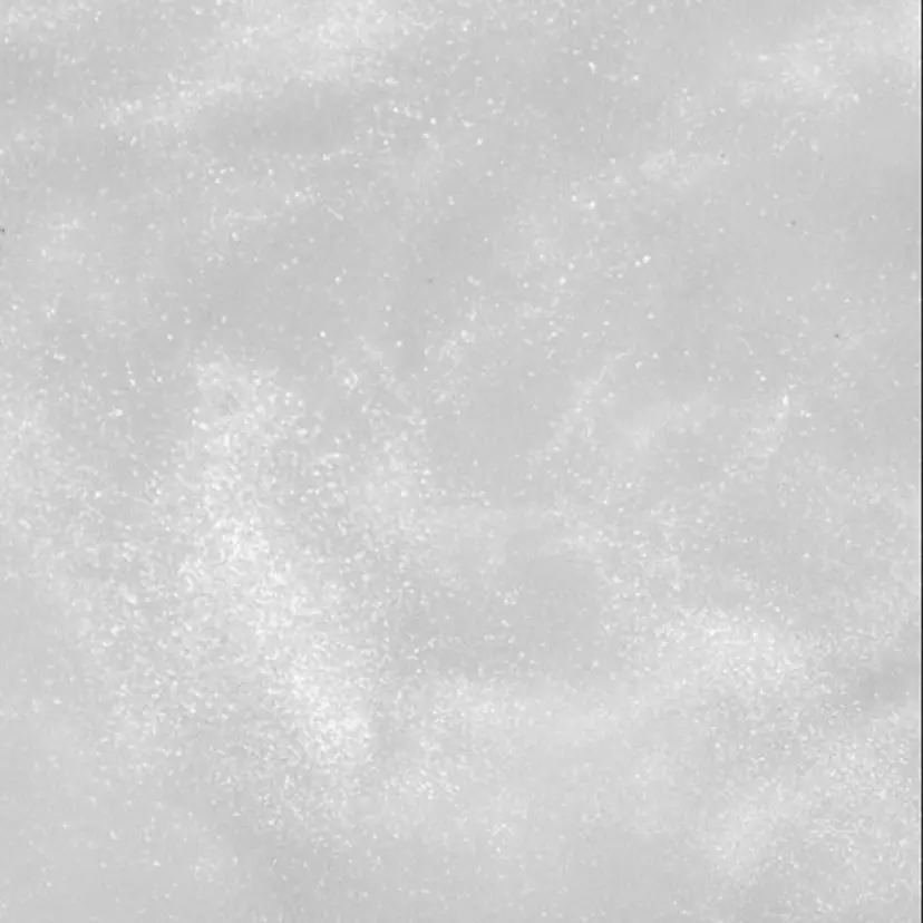 Li aile Aikaの掲載