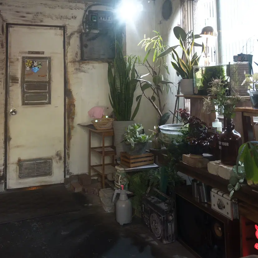 hachiyama rinaの掲載