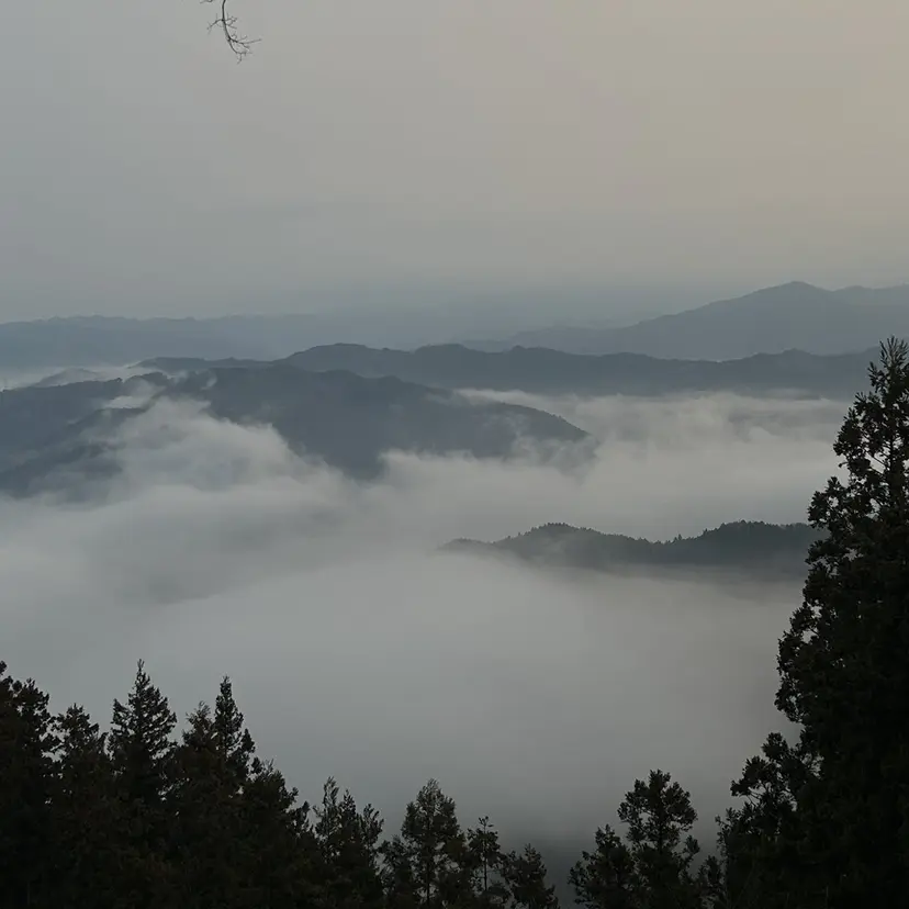 水野 志陽の掲載