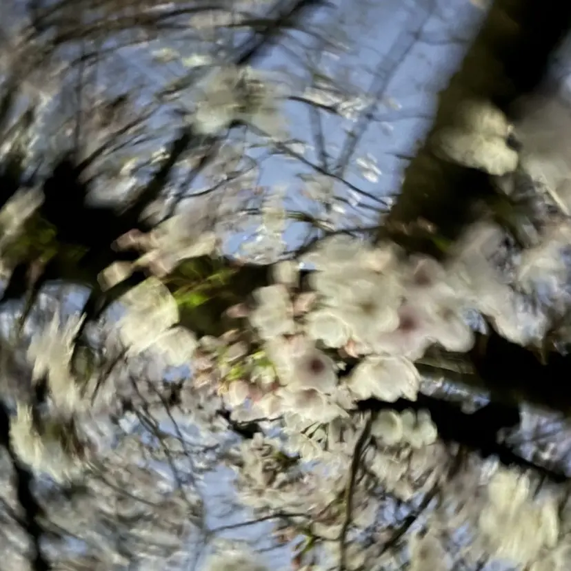 濵砂 雛子の掲載