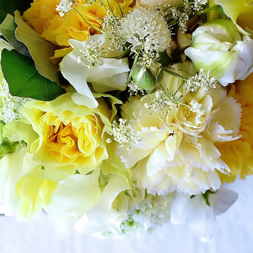 be living 🍓白金台・目黒の掲載