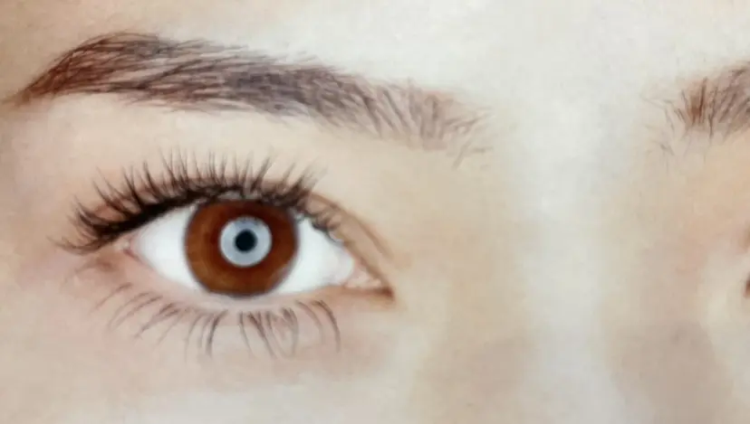 arvo 佐藤の掲載