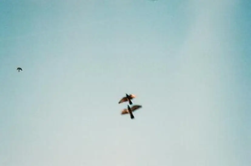 【pejite】 小沼 勇貴の掲載