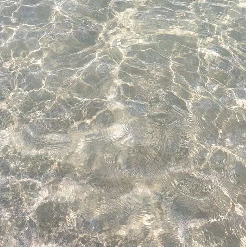 Elle. HINATAの掲載