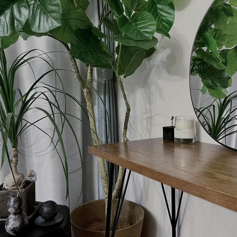 satomi (アイリスト)の掲載