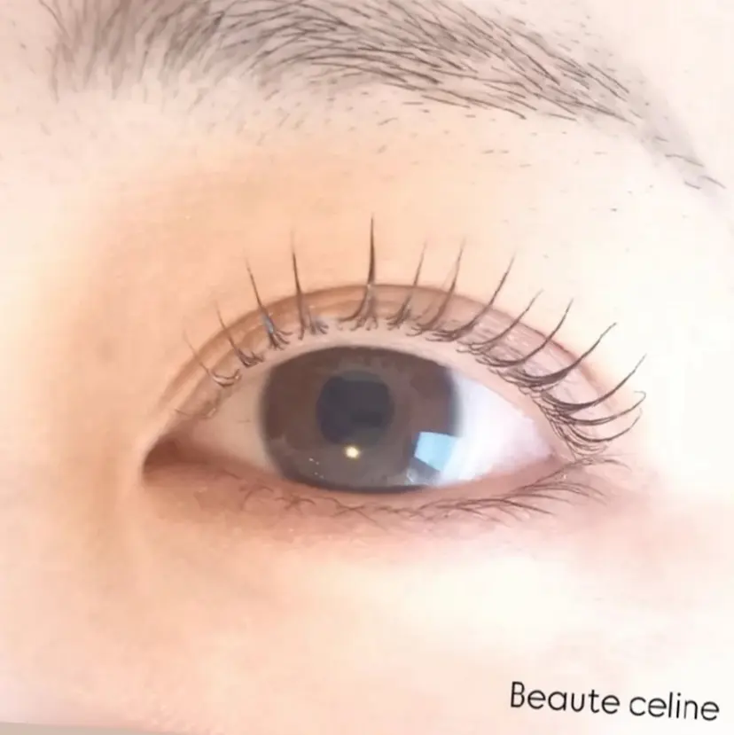 8時～✨beaute Celine🌛🌹の掲載