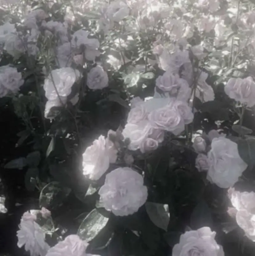 ❤︎高崎/ 近藤莉々香❤︎の掲載