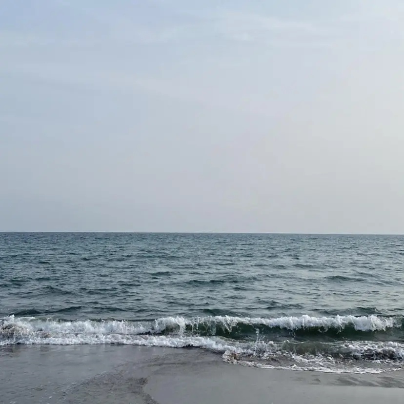 Beautrium 七里ヶ浜　浪崎太陽の掲載