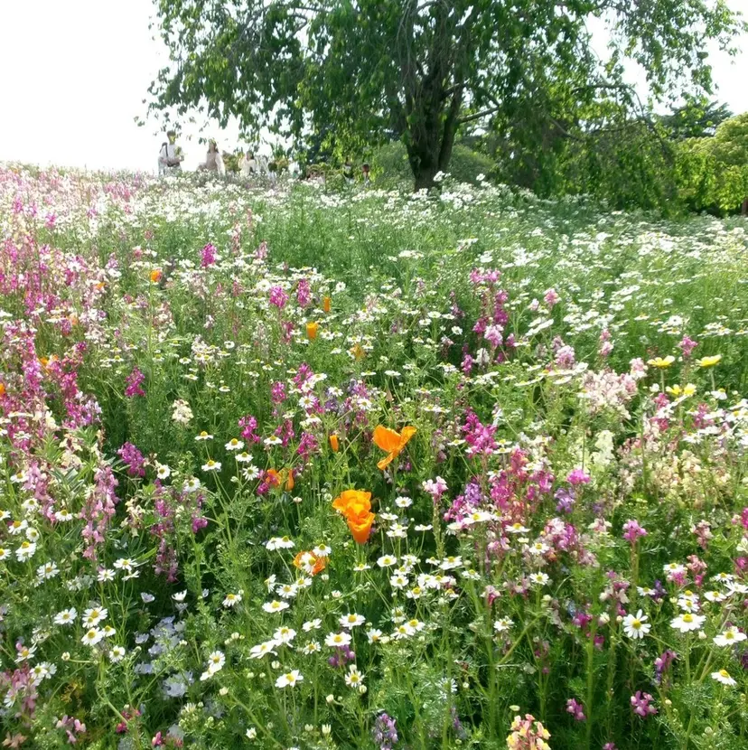 俵 菜月の掲載