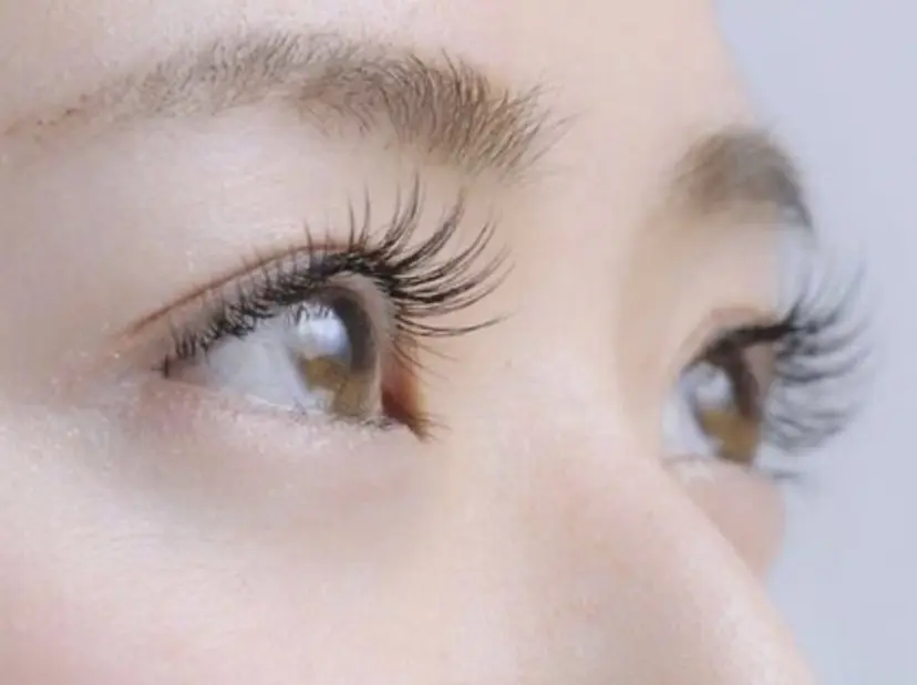 PRIMA eyelashの掲載